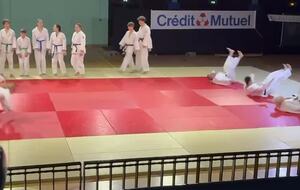 La démo de l'USML Judo !