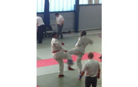 Arthur Amonles 5ème à l'Open national de Jujitsu d'Epinal